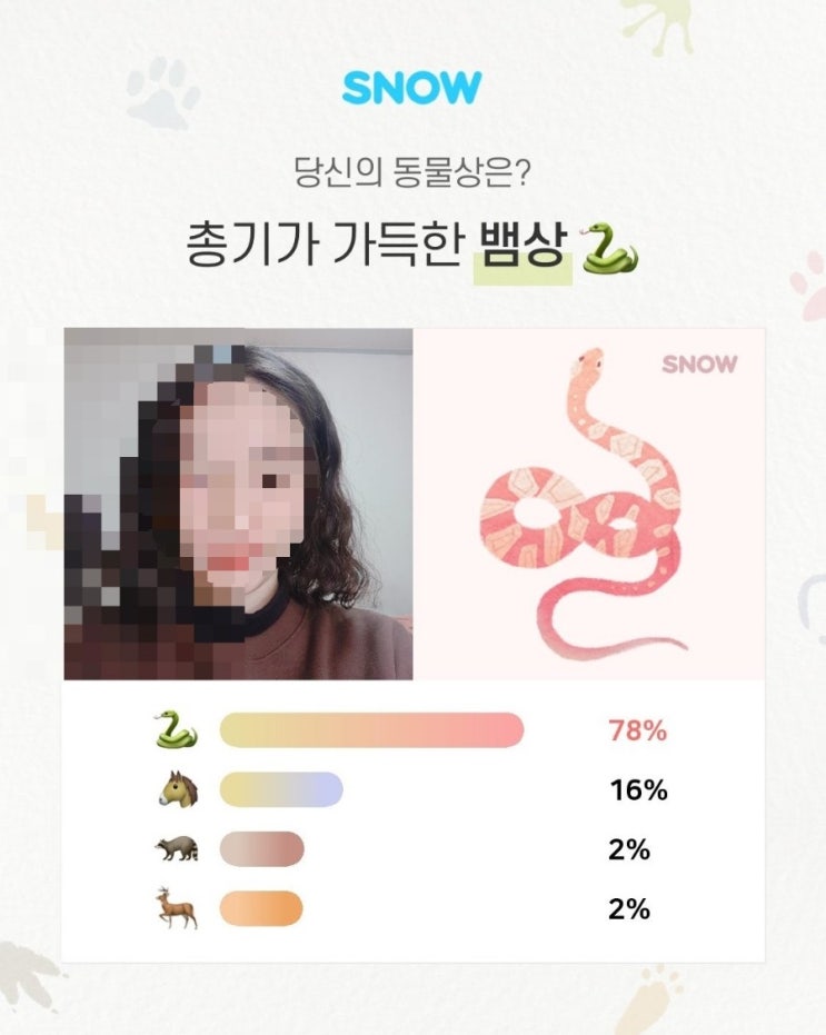 [SNOW 동물상] 총기가 가득한 뱀상 : 네이버 블로그
