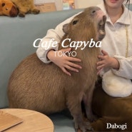 일본 도쿄 카피바라 카페 cafe capyba 예약 방법 꿀팁 영업시간 태교여행