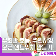 맛도 영양도 제철 무화과 효능과 주의사항, 세척 보관법 오픈샌드위치 만들기