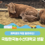 Green is the new gold! 재학생이 알려주는 국립한국농수산대학교 학교 생활, 그리고 편입생 모집