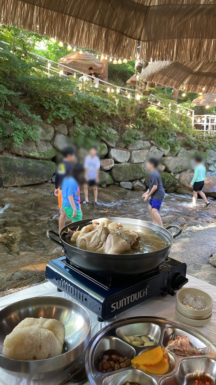 [경상도 대구 근교 계곡 식당]계곡에 발 담글 수 있는 백숙맛집 | 개울가식당 : 네이버 블로그