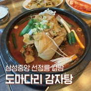 삼성중앙역 삼성동 감자탕 뼈해장국 맛집. 도마다리 감자탕 강남점