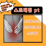 비산동pt 안양헬스장 / 만성허리통증 1:1pt 회원님 스트레칭PT