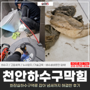 천안하수구막힘, 화장실하수구역류 잡아 냄새까지 해결한 후기