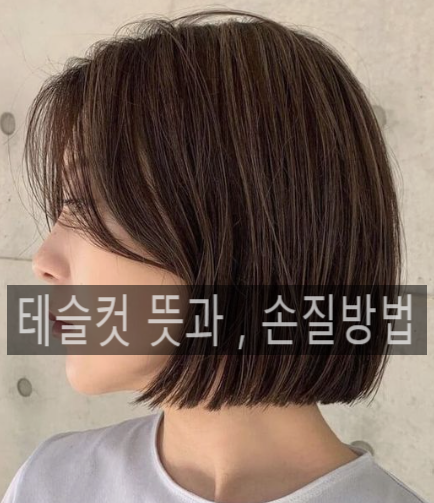 여자 테슬컷 뜻과 , 손질방법 알려드려요 : 네이버 블로그