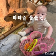 부산 명지 라라쥬 동물원 아이와 가볼만한 곳 카피바라 알파카 만져볼 수 있는 곳 먹이체험