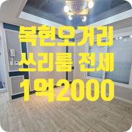 ［d-00584］대구 북구 복현동 쓰리룸 전세 1억2000 (복현오거리인근)