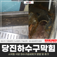 당진하수구막힘, 시곡동 식당 하수구냄새제거 방법 및 후기