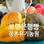 보령은행빵 정촌유기농원 보령 베이커리 빵맛집