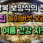 말복 보양식의 진수 고창집 능이버섯 오리백숙으로 여름 건강 지키기