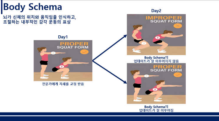 Body Schema : 네이버 블로그