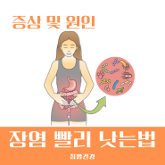 장염 빨리 낫는법 증상과 원인 예방 알아보기