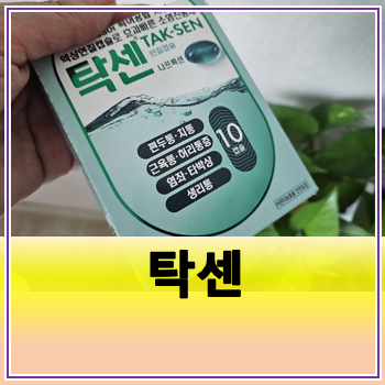 탁센 나프록센 복용법 용량 가격 부작용 : 네이버 블로그