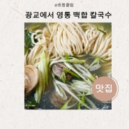 광교에서 조개의 여왕 맛보다. 영통백합칼국수