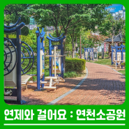 연제와 걸어요 : 연천소공원 산책