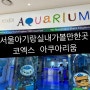 서울아기랑실내가볼만한곳 , 코엑스 아쿠아리움