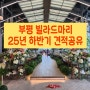 [웨딩홀] 인천 부평 빌라드마리 25년 하반기 견적+당일계약혜택 공유