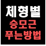 체형별 승모근 푸는 방법