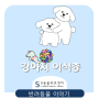 강아지 이식증 [위례/북위례/감일지구/거여동/하남/마천동 동물병원 위례s동물의료센터]