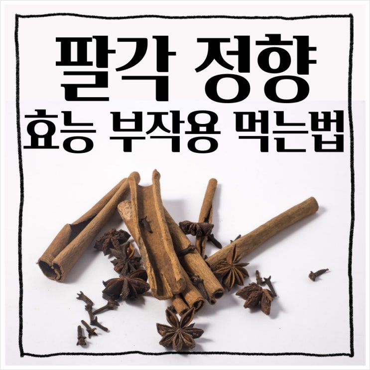 팔각 효능 정향 부작용 팔각 정향 먹는법 알아보자! : 네이버 블로그