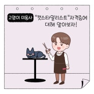 고양이 미용사, 고양이 무마취 미용(캣스타일리스트)자격증 취득 방법