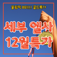 [놓칠 수 없다] 세부 엘사 어학원 12월 4주 골드 특가!