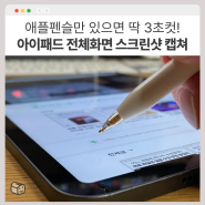 아이패드 전체화면 스크린샷 스크롤 캡쳐 방법, 애플펜슬로는 3초 만에 가능