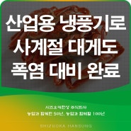 산업용 냉풍기로 사계절 대게도 폭염 대비 완료