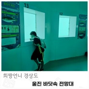 울진 실내 아이랑 가볼만한곳 독도가 보이는 바닷속 전망대