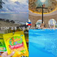 ESIM 개통 삭제 필리핀 이심 사용법 갤럭시 로밍