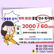 창원 팔용동 상가 임대 카페 뷰티 양도양수