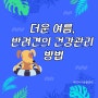 더운 여름! 반려견의 건강관리 방법을 알려드릴게요!