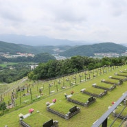 경기도 수목장 납골당, 광릉추모공원 알아봤어요