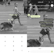 ios/ktheme ⨾ 631-638. cozy lime (companion) series