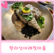 해비치 맛집 한라산아래첫마을 제주민속촌점 (호불호 있는 비비작작면, 비빔냉면, 수육)