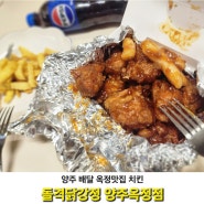 양주배달 치킨 옥정맛집 돌격 닭강정 맛에 반함~