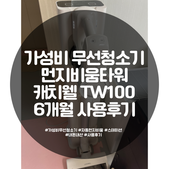 가성비 무선청소기 캐치웰TW100 6개월 장단점 사용후기 : 네이버 블로그