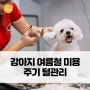 강아지 여름철 미용 주기 털관리