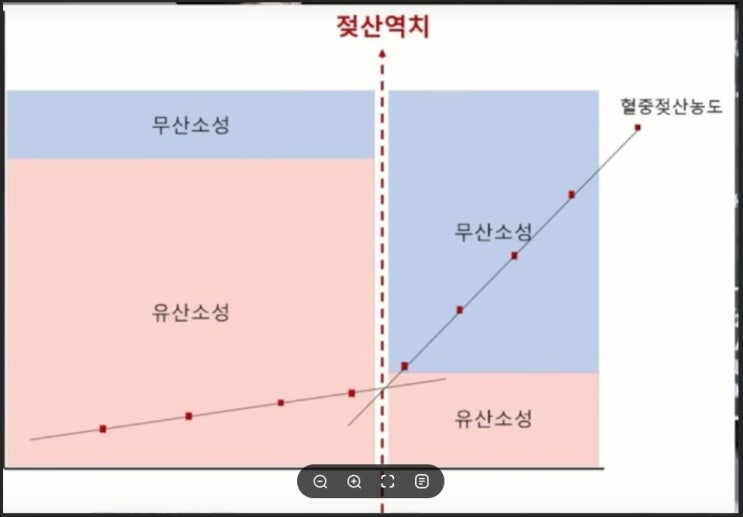 젖산 역치(젖산염 역치)에따른 유,무산소 운동의 정의 [검단 피렉스휘트니스] : 네이버 블로그