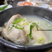 진주 맛집 추천ㅣ진주 내동 삼계탕 맛집ㅣ성지원