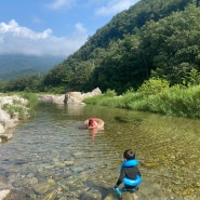 여름휴가, 8월의 캠핑 _ 양양 오색허브농원 캠핑장