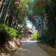 (담양가볼만한곳/담양맛집) 담양애꽃 / 죽녹원 / 메타프로방스 / 남도예담