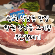 창원 상남동 맛집 | 창원 상남 고기집 부산갈매기