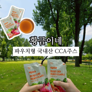 황금이네 CCA 주스 건강과 간편함을 동시에! (추석선물 추천)