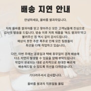 독도 아기쌀과자 올바름