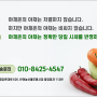 08월 16일 금 배송판매 시세 - 부산반여농산물도매시장 식자재유통업체(야채온on)