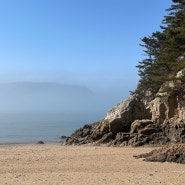 서해땅끝파도리아치내 캠핑장 오션뷰 A-01 후기 (부제:희웅블로그에 오신걸 환영)