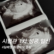 대자인난임 시험관 1차만에 성공 동결이식 4일배양 증상 피검결과 아기집확인