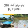 횡성 숲속의하루 펜션 계곡뷰 수영장 어른들도 놀 수 있는 깊은 계곡