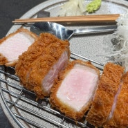 샤로수길 돈카츠 맛집 | 돈카츠창현 내돈내산 존맛 후기!